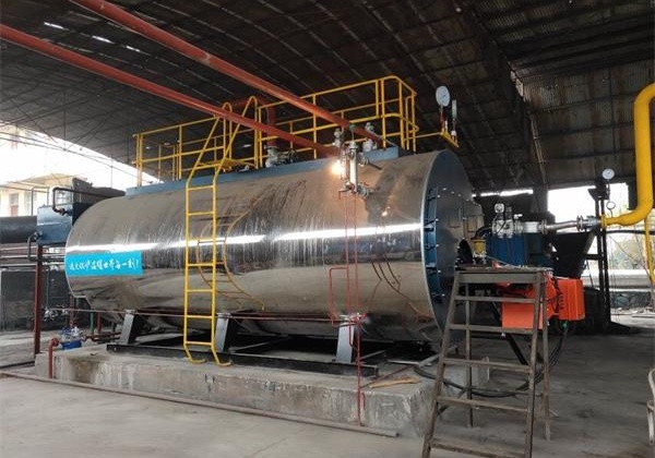 孟加拉國造紙廠10噸燃氣蒸汽鍋爐